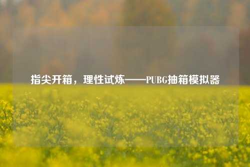 指尖开箱,理性试炼——PUBG抽箱模拟器