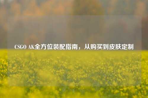 CSGO AK全方位装配指南,从购买到皮肤定制