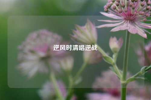 逆风时清唱逆战