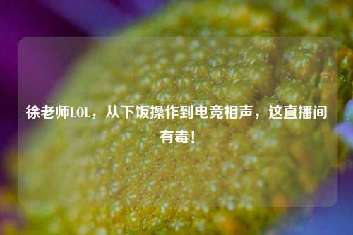 徐老师LOL,从下饭操作到电竞相声,这直播间有毒!