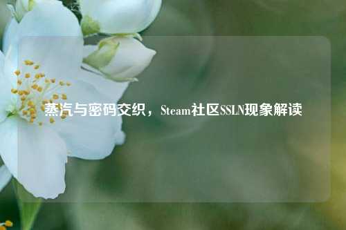 蒸汽与密码交织,Steam社区SSLN现象解读