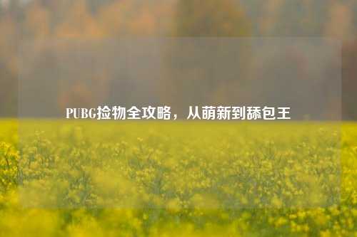 PUBG捡物全攻略,从萌新到舔包王