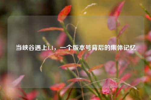 当峡谷遇上1.1，一个版本号背后的集体记忆