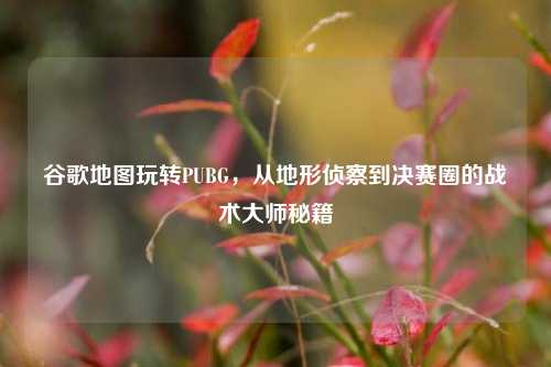 谷歌地图玩转PUBG，从地形侦察到决赛圈的战术大师秘籍