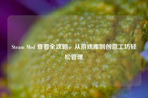 Steam Mod 查看全攻略，从游戏库到创意工坊轻松管理