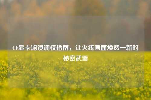 CF显卡滤镜调校指南,让火线画面焕然一新的秘密武器