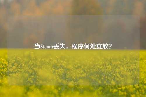 当Steam丢失,程序何处安放?