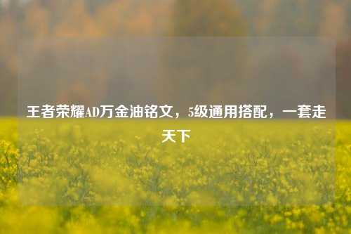 王者荣耀AD万金油铭文,5级通用搭配,一套走天下