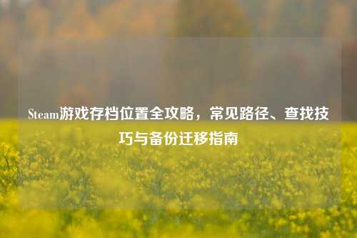 Steam游戏存档位置全攻略,常见路径、查找技巧与备份迁移指南