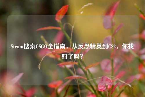 Steam搜索CSGO全指南，从反恐精英到CS2，你找对了吗？