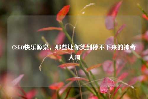 CSGO快乐源泉，那些让你笑到停不下来的神奇人物