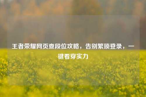 王者荣耀网页查段位攻略，告别繁琐登录，一键看穿实力