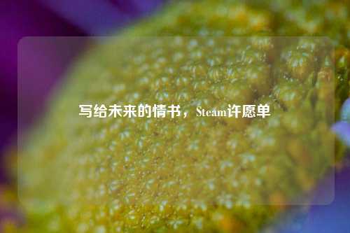 写给未来的情书,Steam许愿单