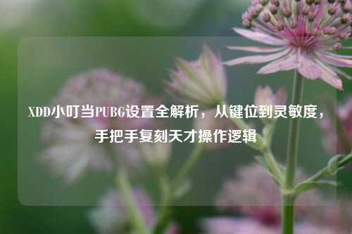 XDD小叮当PUBG设置全解析,从键位到灵敏度,手把手复刻天才操作逻辑