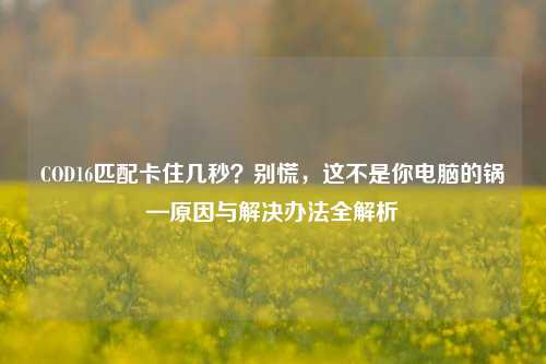COD16匹配卡住几秒？别慌，这不是你电脑的锅—原因与解决办法全解析