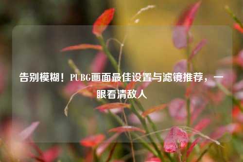 告别模糊！PUBG画面最佳设置与滤镜推荐，一眼看清敌人