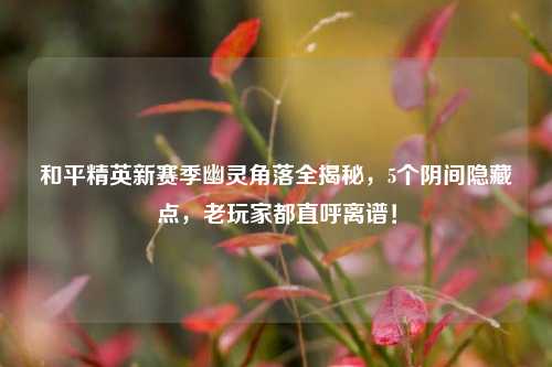 和平精英新赛季幽灵角落全揭秘，5个阴间隐藏点，老玩家都直呼离谱！