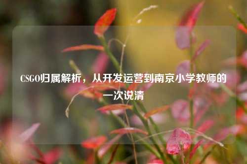 CSGO归属解析，从开发运营到南京小学教师的一次说清