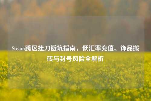 Steam跨区挂刀避坑指南，低汇率充值、饰品搬砖与封号风险全解析