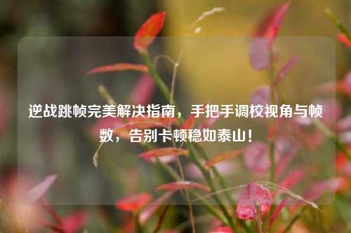 逆战跳帧完美解决指南，手把手调校视角与帧数，告别卡顿稳如泰山！