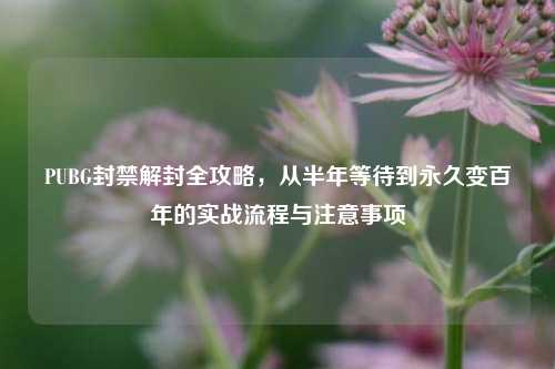 PUBG封禁解封全攻略,从半年等待到永久变百年的实战流程与注意事项