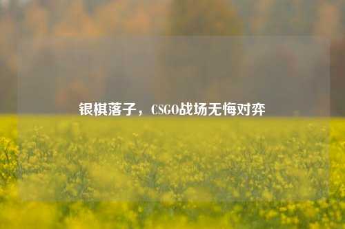 银棋落子，CSGO战场无悔对弈