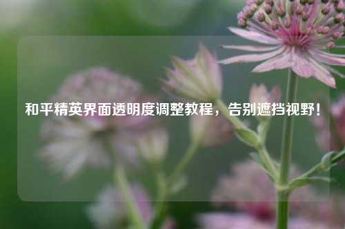 和平精英界面透明度调整教程，告别遮挡视野！