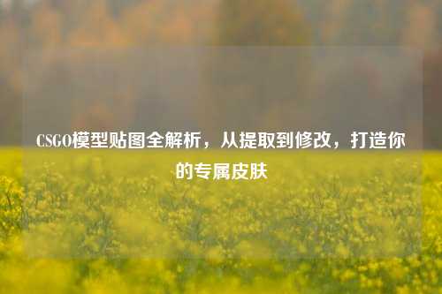 CSGO模型贴图全解析,从提取到修改,打造你的专属皮肤