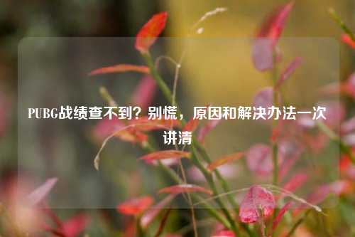PUBG战绩查不到？别慌，原因和解决办法一次讲清