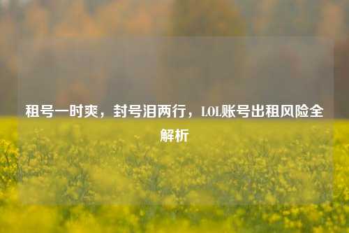 租号一时爽，封号泪两行，LOL账号出租风险全解析