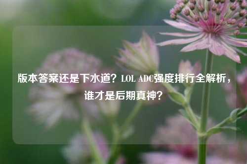 版本答案还是下水道？LOL ADC强度排行全解析，谁才是后期真神？