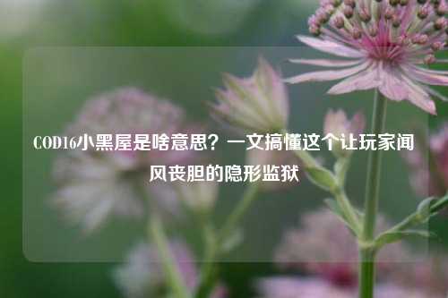 COD16小黑屋是啥意思？一文搞懂这个让玩家闻风丧胆的隐形监狱