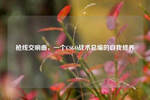 枪线交响曲，一个CSGO战术总编的自我修养