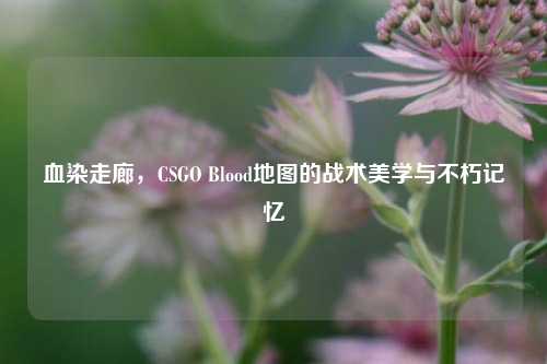 血染走廊，CSGO Blood地图的战术美学与不朽记忆