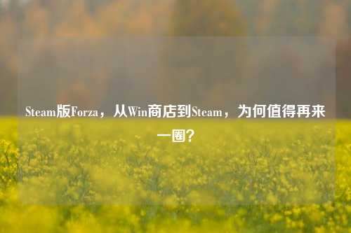 Steam版Forza,从Win商店到Steam,为何值得再来一圈?