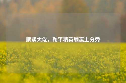 跟紧大佬，和平精英躺赢上分秀