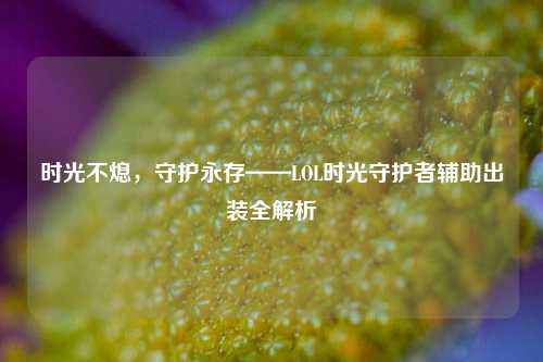 时光不熄,守护永存——LOL时光守护者辅助出装全解析