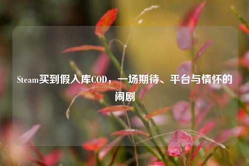 Steam买到假入库COD,一场期待、平台与情怀的闹剧