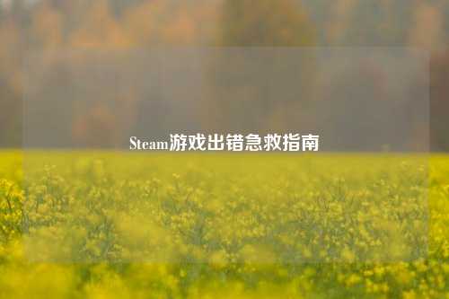 Steam游戏出错急救指南