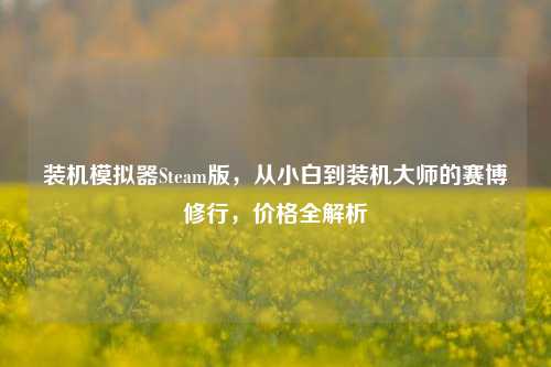 装机模拟器Steam版，从小白到装机大师的赛博修行，价格全解析