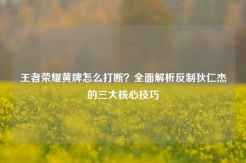 王者荣耀黄牌怎么打断?全面解析反制狄仁杰的三大核心技巧