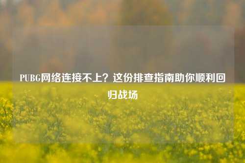 PUBG网络连接不上？这份排查指南助你顺利回归战场