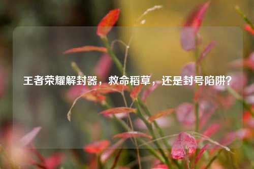 王者荣耀解封器,救命稻草,还是封号陷阱?