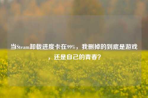 当Steam卸载进度卡在99%，我删掉的到底是游戏，还是自己的青春？