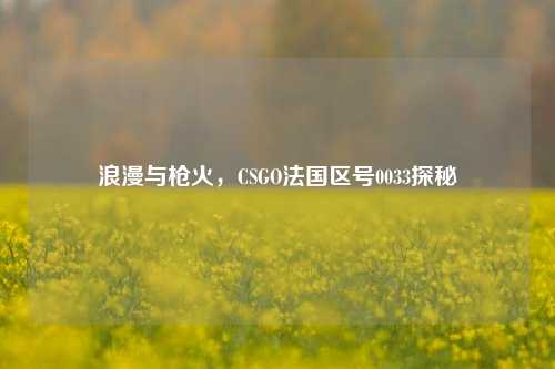 浪漫与枪火，CSGO法国区号0033探秘