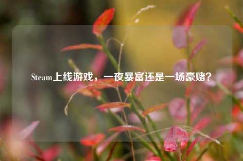 Steam上线游戏，一夜暴富还是一场豪赌？