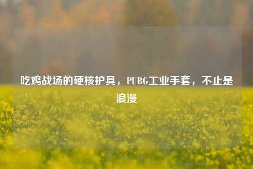 吃鸡战场的硬核护具,PUBG工业手套,不止是浪漫