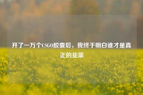 开了一万个CSGO胶囊后，我终于明白谁才是真正的韭菜