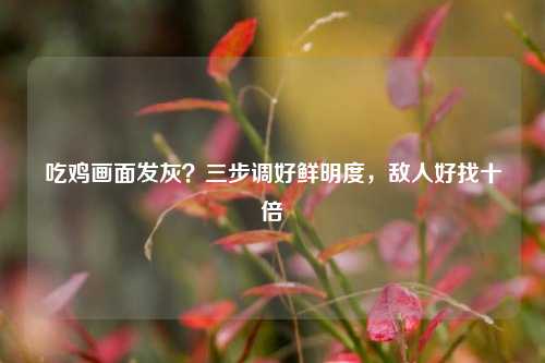 吃鸡画面发灰？三步调好鲜明度，敌人好找十倍