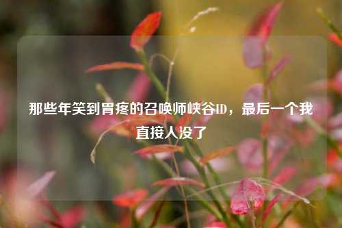那些年笑到胃疼的召唤师峡谷ID，最后一个我直接人没了